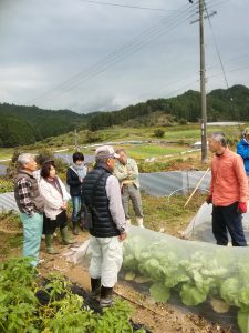千野農園　白菜